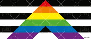 Un drapeau avec des bandes horizontales noires et blanches et un chevron arc-en-ciel pointant vers le haut au centre, symbolisant la fierté LGBTQIA+ et le soutien à l'inclusion au sein de la communauté queer.